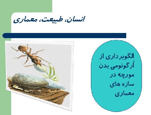 پاورپوینت الگوبرداری از اُرگونومی بدن مورچه در سازه های معماری