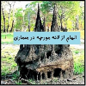 تحقیق در مورد الهام از لانه مورچه در معماری