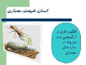 پاورپوینت الگوبرداری از اُرگونومی بدن مورچه در سازه های معماری